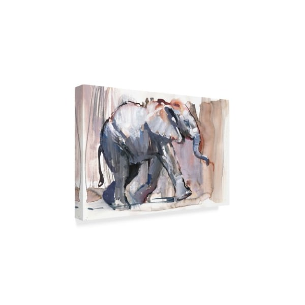 Mark Adlington 'Baby Elephant' Canvas Art,30x47